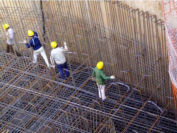 91海角黄色免费下载